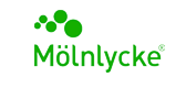 Shop molnlycke health care wound dressings